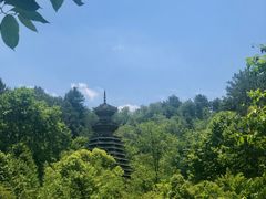 -阿哈湖国家湿地公园
