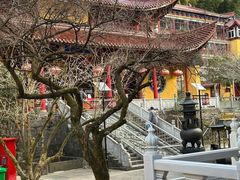 -东天目山风景区