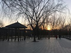 -望湖公园
