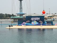 -秦皇岛乐岛海洋王国