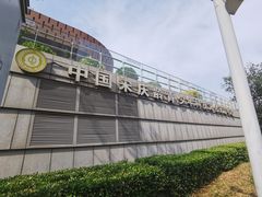-中国宋庆龄青少年科技文化交流中心