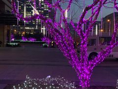 -远洋未来广场(育慧北路店)