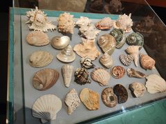 -蟹天蟹地农家菜·阳澄湖大闸蟹(浅水湾店)