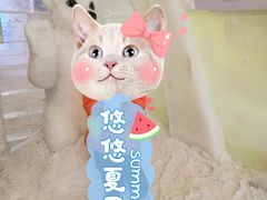 -宁波冰雪大世界(北仑区)