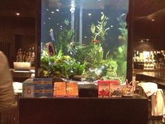 景观位-Strawberry Butterfly草莓蝴蝶日式水果挞