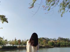 -瑶湖郊野森林公园