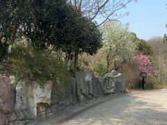-巢湖姥山岛