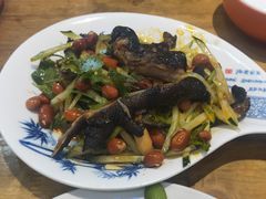-杨氏青龙虾·羊蝎子(托乐嘉店)
