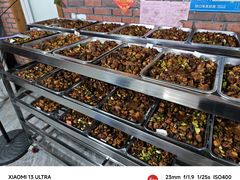 -向民炒鸡老店(火车站店)
