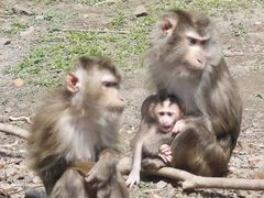 -哈尔滨北方森林动物园