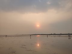-南汇新城海滩