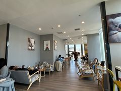 -了不起的考拉咖啡店(高新店)