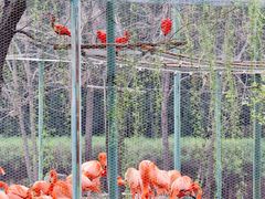 -石家庄市动物园