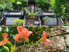 -黑龙潭公园