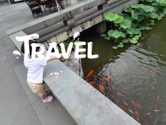 -桐庐开元名都大酒店