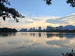 -飞来湖湿地公园