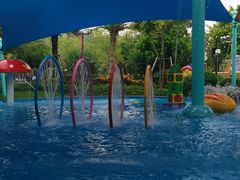 -美的鹭湖探索王国