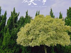 -南沙蒲洲花园