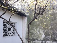 -拙政园