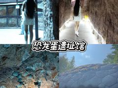-中国西峡恐龙遗迹园