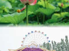 -渔岛海洋度假区