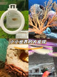 -菜百首饰店(总店)