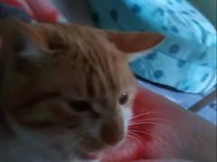 -仁华宠物医院(青羊店)