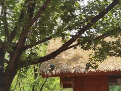 -九如山休闲旅游度假区