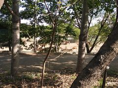 -北京麋鹿生态实验中心