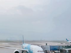 -广州白云国际机场-T2航站楼