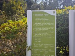 -云溪植物园