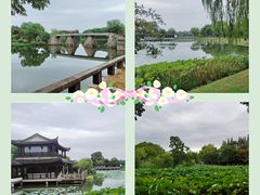 -尚湖风景区