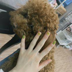-JERRY日式美甲美睫纹绣工坊