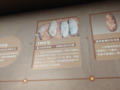 -呼和浩特博物馆