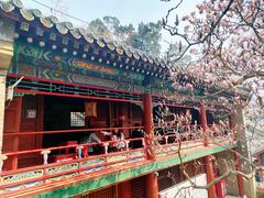 -潭柘寺景区