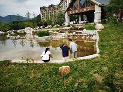 -青峰峡国家森林公园