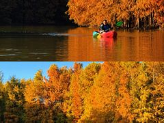 -上海海湾国家森林公园