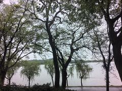 -上海月湖雕塑公园