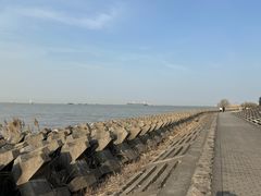 -上海滨江森林公园