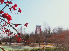 -永定河休闲森林公园