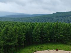 -塞罕坝国家级自然保护区