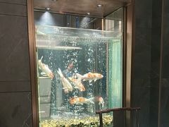 -浩运·海鲜青岛菜·海胆水饺(石老人店)