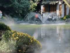 -杭州植物园