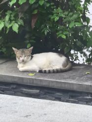 -爱丽馨御景月子中心