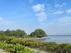 -深圳湾公园(南山区)