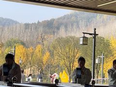 -千年银杏谷文化旅游区
