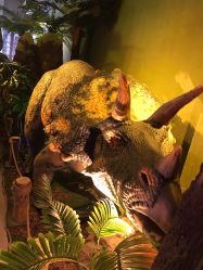 -恐龙探索乐园(磁器口店)