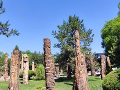 -石家庄市植物园