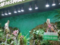 -亚马逊海鲜自助(万象汇店)