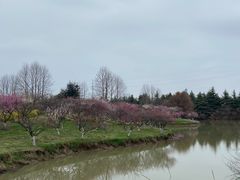 -上海海湾国家森林公园